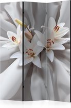 Kamerscherm - Scheidingswand - Vouwscherm - Sensual Lilies [Room Dividers] 135x172 - Artgeist Vouwscherm