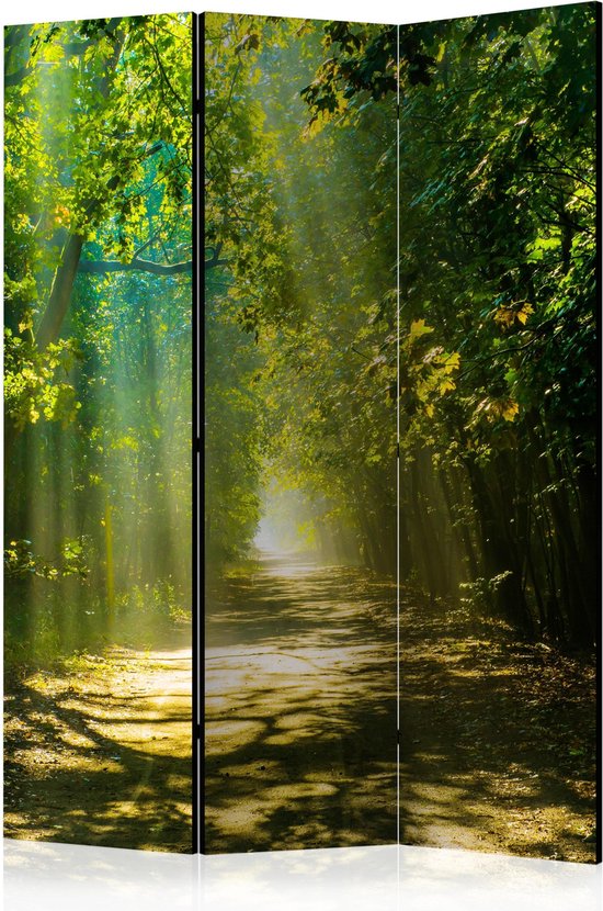 Kamerscherm - Scheidingswand - Vouwscherm - Road in Sunlight [Room Dividers] 135x172 - Artgeist Vouwscherm