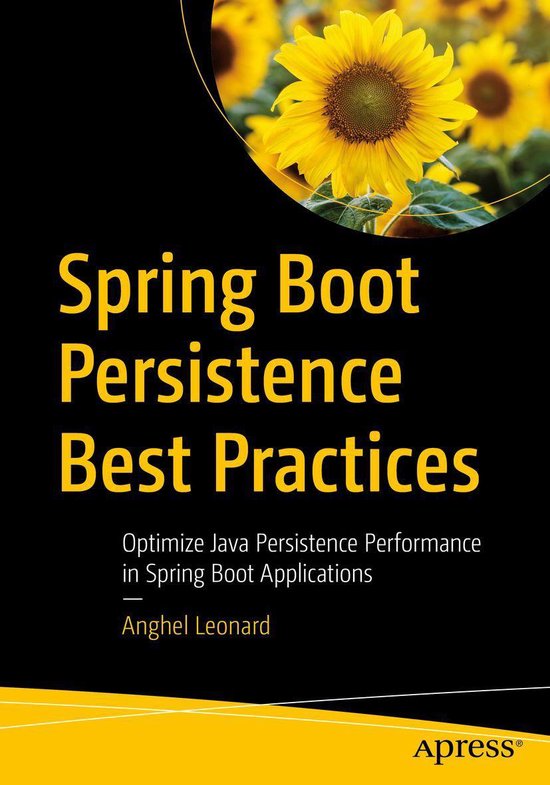 Professional and Applied Computing (R0) - Spring Boot Persis ... - cover