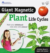 Reuze magnetische levenscyclus van een plant
