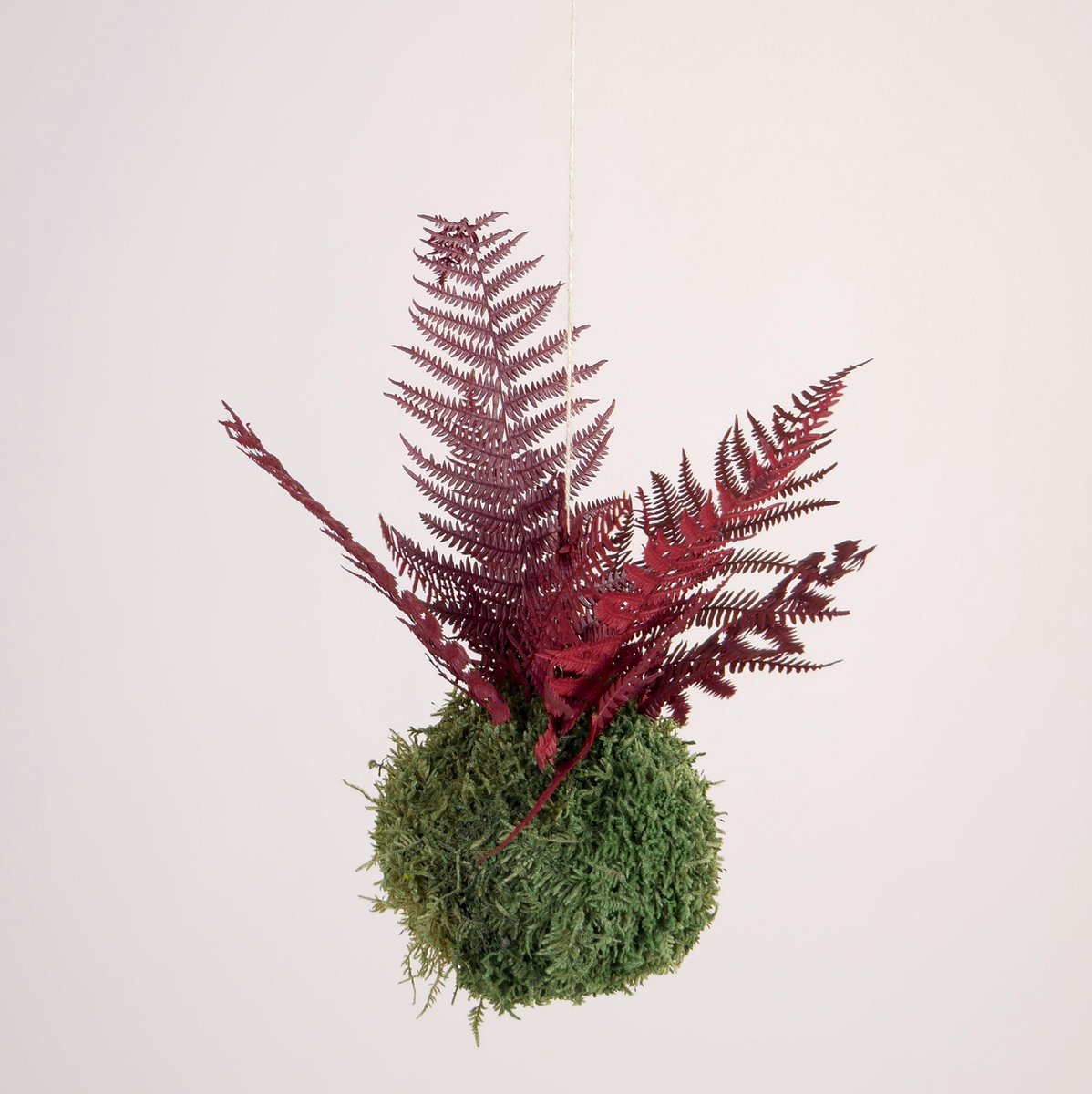 Onderhoudsvrije Kokedama - moskleur: Moss Green - afm. 13 cm - bordeaux varen