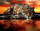 diamond painting 50x60 cm Panther drinkt