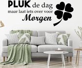 Muursticker Pluk De Dag Maar Laat Iets Over Voor Morgen - Groen - 80 x 31 cm - slaapkamer nederlandse teksten woonkamer