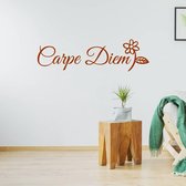 Muursticker Carpe Diem -  Bruin -  160 x 46 cm  -  woonkamer  slaapkamer  alle - Muursticker4Sale