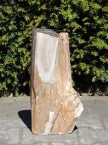 Versteend hout, fossiel hout,  PU-21, 37 cm