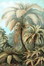 Filicinae op Canvas (kleur) - WallCatcher | Staand 100 x 150 cm | Ernst Haeckel op Canvasdoek