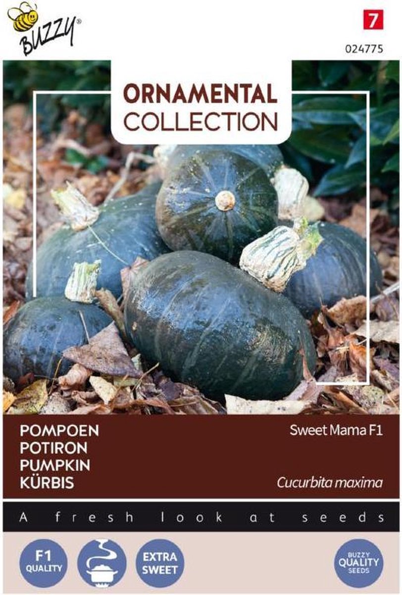 Buzzy® Ornamental, Pompoen Sweet Mama F1