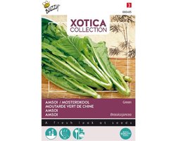 Xotica Amsoi Mung Choi