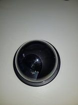 Dummy Beveiligingscamera - LED - 12 cm - beveiligingscamera - binnen en buiten