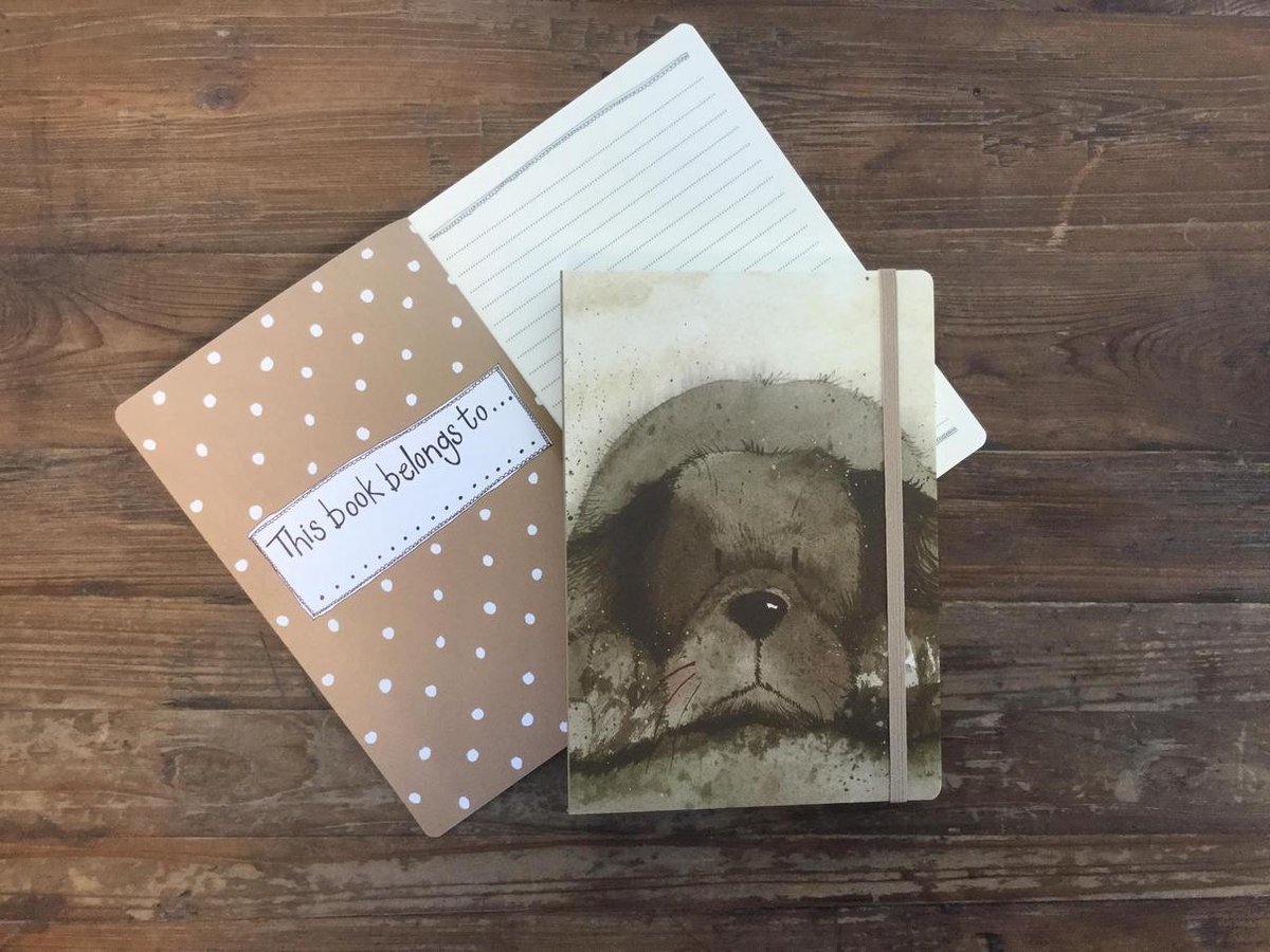 Alex Clark Large Chunky Notebook ~ A5 Softcover Notitieboek Zwarte Labrador