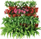 Worth Wandelement Terracotta 3 X 3 geschikt voor 9 planten, Verticaal tuinieren Bouw je eigen groene wand