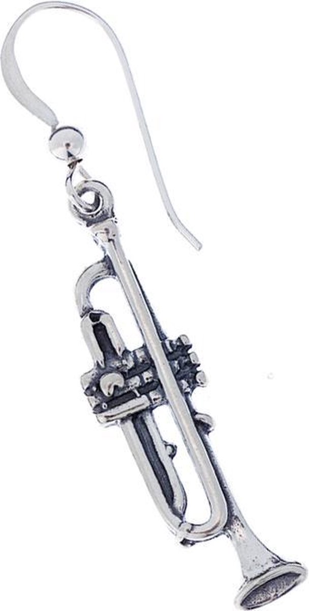 Zilveren oorbellen trompet