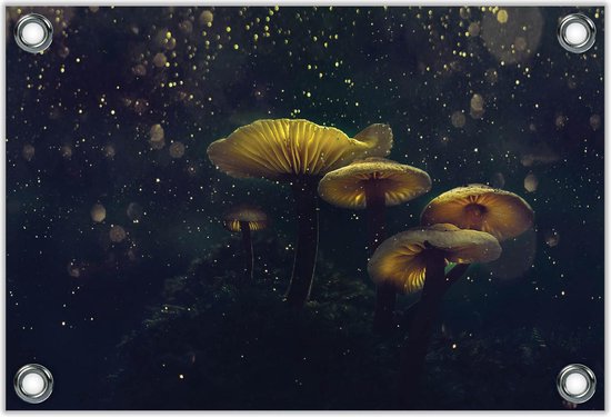 Tuinposter –Lichtgevende Paddenstoelen– 40x30 Foto op Tuinposter (wanddecoratie voor buiten en binnen)