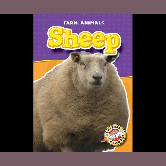 Sheep - cover