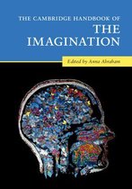 Cambridge Handbook Of The Imaginatio