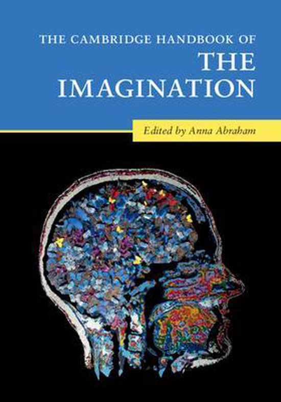 Cambridge Handbook Of The Imaginatio - cover