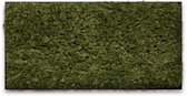 Mosschilderij 120cm x 60cm - rendiermos kleur: Moss Green - lijst: zwart hout