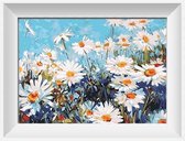 Artstudioclub®  Schilderen op nummer volwassenen 40x50 cm bloemen, madeliefjes