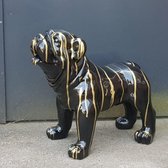 Beeld Engelse Bulldog zwart goud