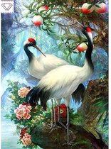 Diamond Painting Volwassenen - Kraanvogels - Vierkante steentjes - Volledig bedekt - 45x65 cm - Compleet Hobbypakket