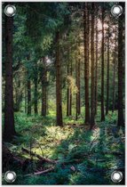 Tuinposter –Bomen in het Bos– 100x150cm Foto op Tuinposter (wanddecoratie voor buiten en binnen)