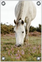 Tuinposter –Wit Paard in de Wei– 30x40cm Foto op Tuinposter (wanddecoratie voor buiten en binnen)