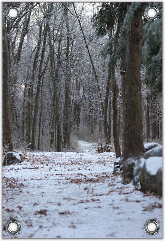 Tuinposter –Winters Bos met Bomen– 80x120cm Foto op Tuinposter (wanddecoratie voor buiten en binnen)