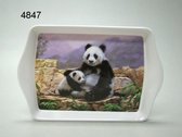 Dienblad Panda