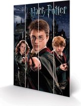 Poster - Harry Potter Houten Harry Ron & Hermione - 59 X 40 Cm - Multicolor