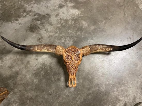Longhoorn skull gegraveerd echt - Cognac - Bali - Premium - 160 cm