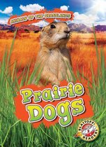 Prairie Dogs