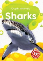Ocean Animals- Sharks
