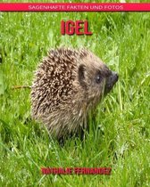 Igel