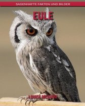 Eule