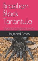 Brazilian Black Tarantula