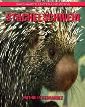 Stachelschwein