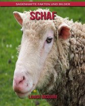 Schaf