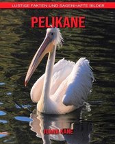 Pelikane