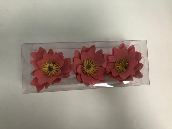 Plasticiteit brandwonden linnen Stoffen bloemen op clip - 3 stuks | bol.com