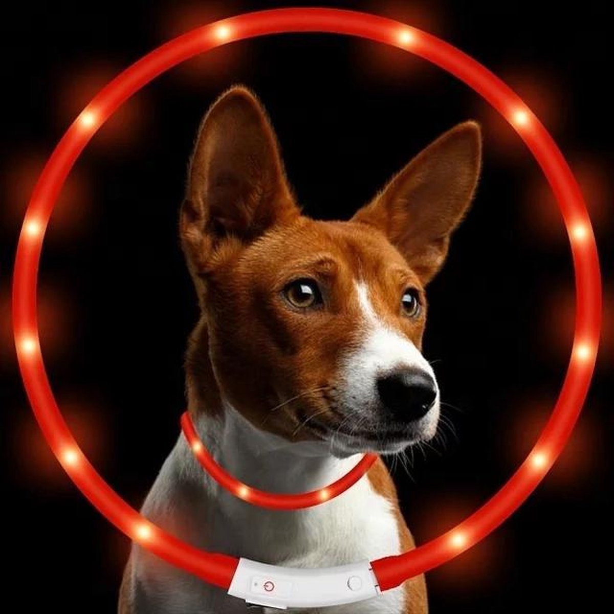 LOUZIR LED Honden halsband - Rood - 20 - 70 cm - USB Oplaadbaar