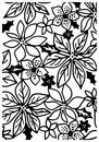 Kaisercraft -Embossing folder poinsettia