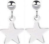 Zilver- oorbellen -lang- ster-Dames- Tiener835-Charme Bijoux