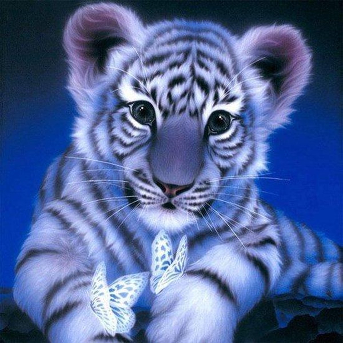 Vitamo™ Diamond Painting 30x30 cm - Vierkante Steentjes - Volledige Bedekking voor het Mooiste Resultaat - Complete Pakket inclusief Tools - Dieren - Jonge Tijger met Vlinders