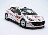 Peugeot 207 S2000 #7 Rally de Portugal 2008 - 1:18 - Sun Star