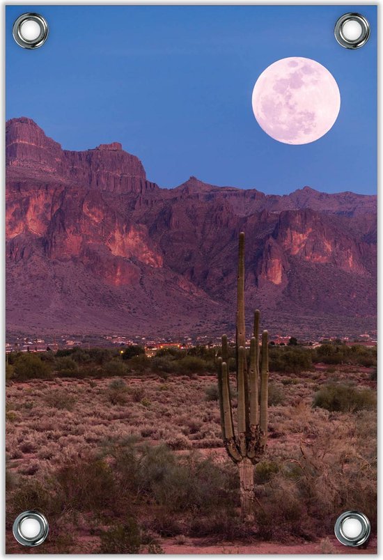 Tuinposter –Nationaal Bos in Arizona - Amerika– 40x60  Foto op Tuinposter (wanddecoratie voor buiten en binnen)