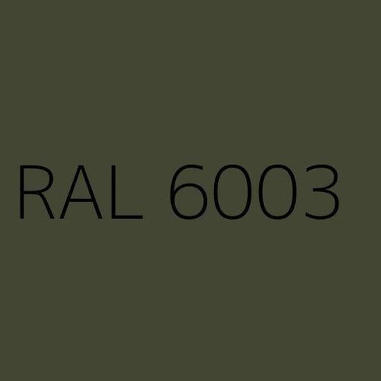 Waarnemen rekken Deuk Rayant muurverf Extra Mat Voor buiten en binnen - 5 liter - Kleur  Olijfgroen (RAL 6003) | bol.com