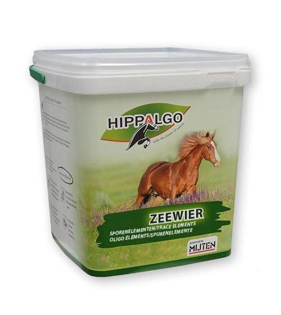 Hippalgo Zeewier