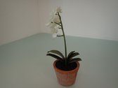 Kunstbloem orchidee