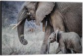 Dibond –Moeder met Baby Olifant -150x100 Foto op Aluminium (Wanddecoratie van metaal)