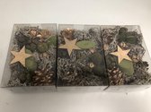Kunst Herfstplantjes ( 3x)
